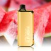 ALIBARBAR INGOT 9000 Puffs Watermelon Ice
