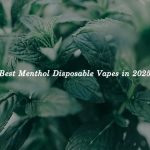 Best Menthol Disposable Vapes in 2025: Coolest Picks for Fresh Hits