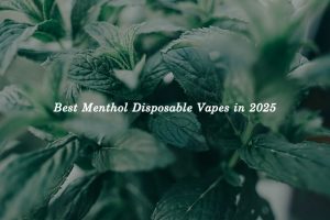 Best Menthol Disposable Vapes in 2025: Coolest Picks for Fresh Hits