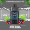 IGET One 12000 Puffs Black Forest