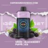 IGET One 12000 Puffs Blackberry Ice