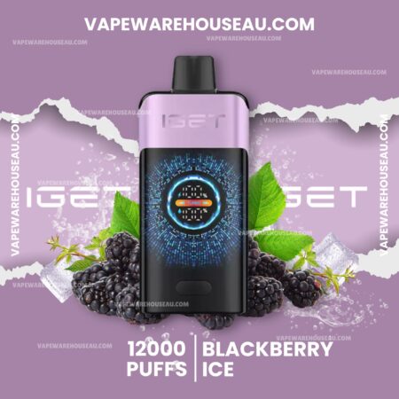 IGET One 12000 Puffs Blackberry Ice