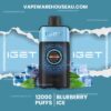 IGET One 12000 Puffs Blueberry Ice