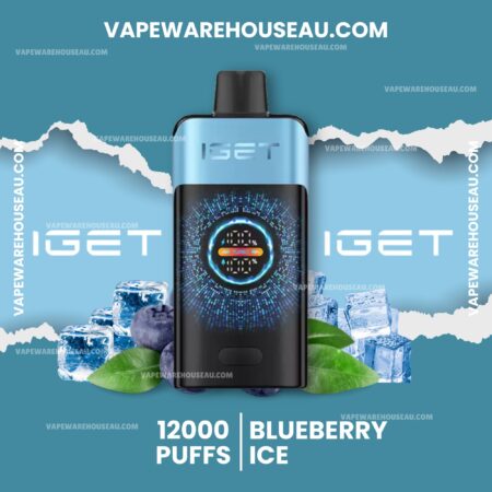 IGET One 12000 Puffs Blueberry Ice