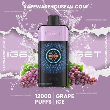 IGET One 12000 Puffs Grape Ice