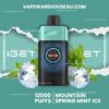 IGET One 12000 Puffs Mountain Spring Mint Ice