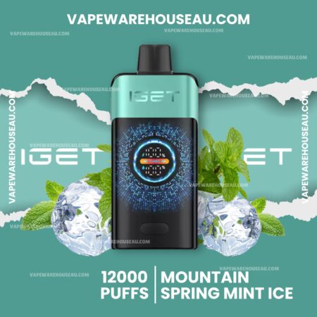 IGET One 12000 Puffs Mountain Spring Mint Ice