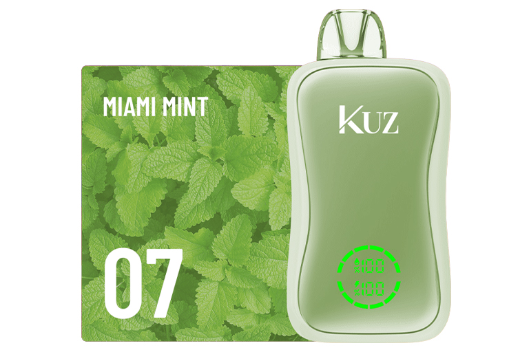 Kuz Flow 25000 Puffs Miami Mint Details