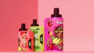 VapSolo VIKING 12000 Review