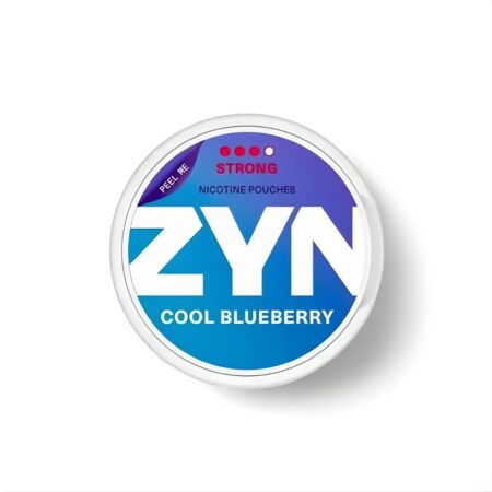 ZYN Nicotine Pouches Cool Blueberry 11mg