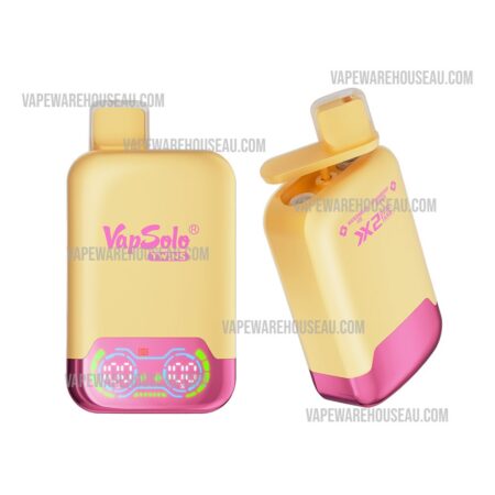 VapSolo Twins 20000 Puffs Watermelon Ice & Strawberry Mango