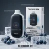 Tomoro 15000 Puffs Blueberry Ice