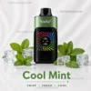 SOEKE S9 28000 Puffs Cool Mint